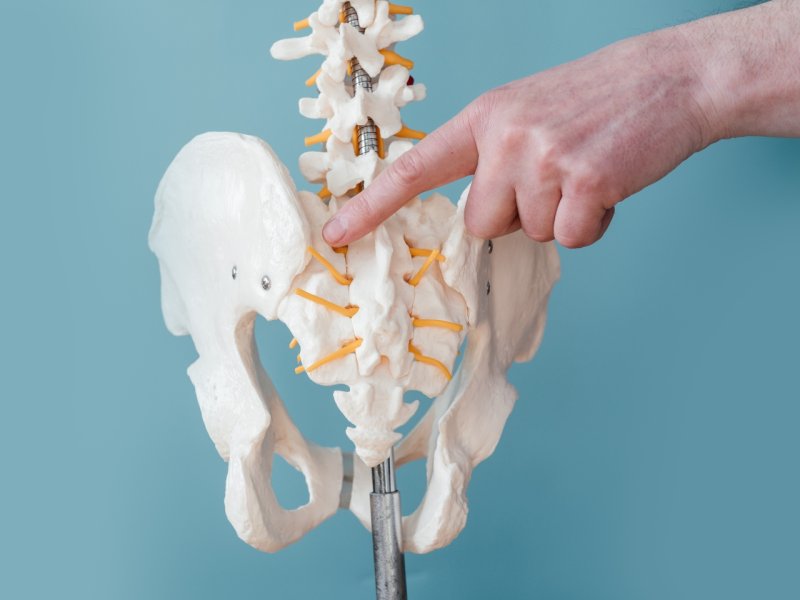 Thérapie manuelle au Porge : une approche biomécanique et neurophysiologique pour soulager vos douleurs